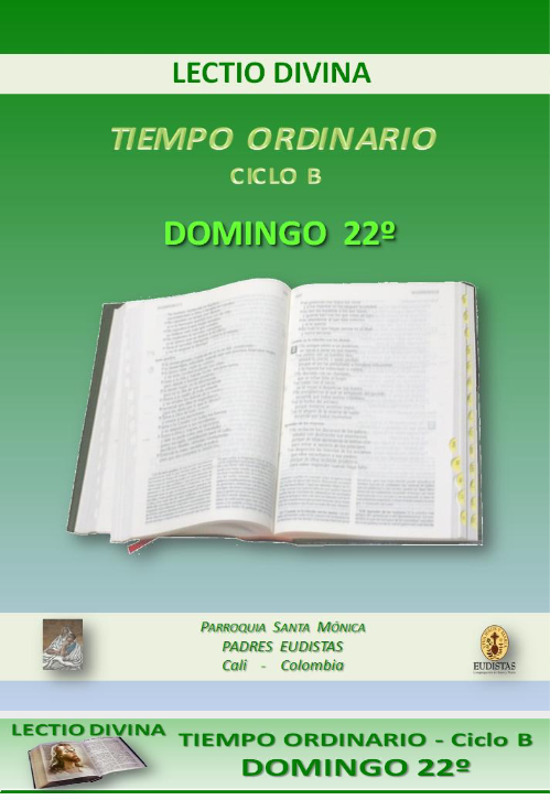 Lectio divina Tiempo ordinario Domingo 22o